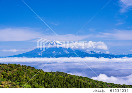 （静岡県）新緑の金冠山、駿河湾の雲海、富士山 65554052