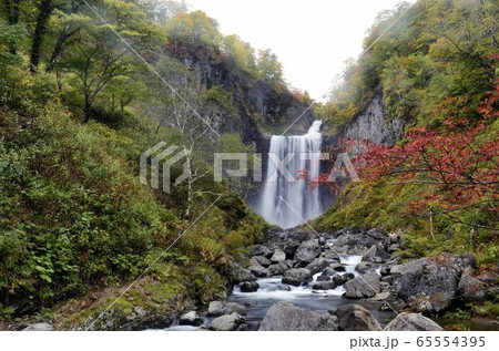 飛龍の滝 飛龍の滝 65554395