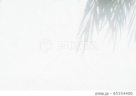 白い壁に映る葉の影_バックグラウンド 白い壁に映る葉の影_バックグラウンド 65554400