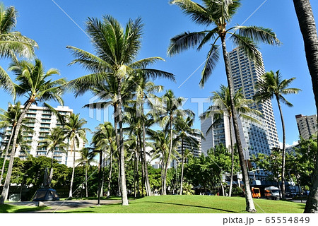 ハワイの休日 65554849