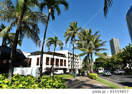 ハワイの休日 65554857