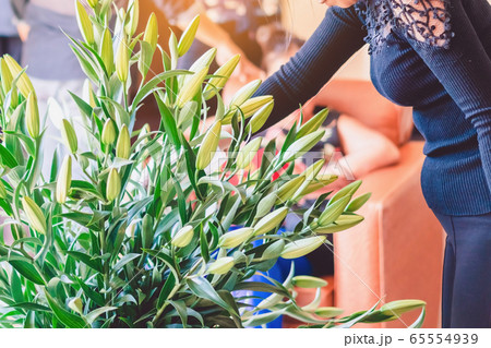 Female florist in black shirt arranging with bunch of lilies in the living room for a night time party. Selective focus. 65554939