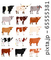 いろいろな牛の一覧 65555381