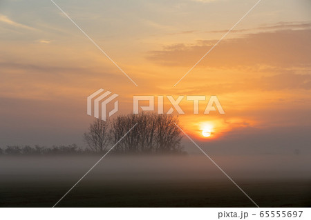 Sunrise landscape of Hortobagy landscape 65555697