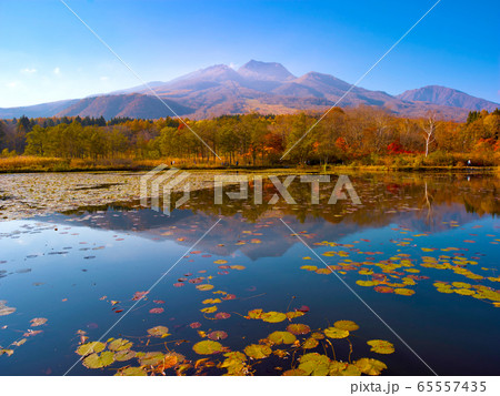 妙高高原 イモリ池 秋の紅葉の写真素材