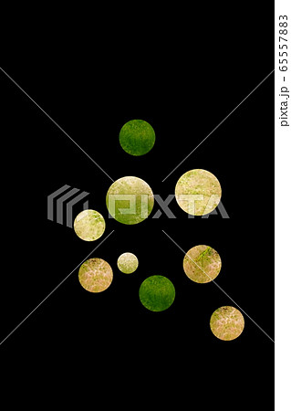 ウイルス 65557883