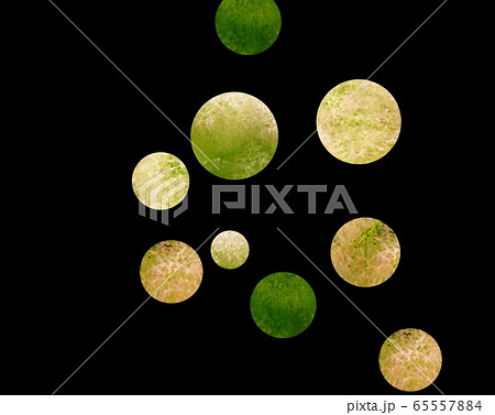 ウイルス ウイルス 65557884