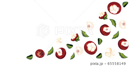 Set of fresh mangosteen in motion on white background. 3D realistic mangosteen. Whole and halves mangosteen with green leaf. Top view. Illustration. 65558149