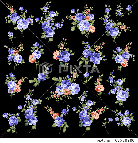 美しいバラのイラスト素材 65558880