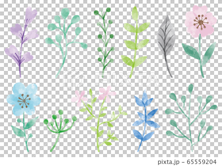 Flower_pale_watercolor Flower_pale_watercolor 65559204