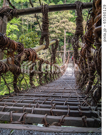 徳島県 三好市 祖谷のかずら橋 徳島県 三好市 祖谷のかずら橋 65560129