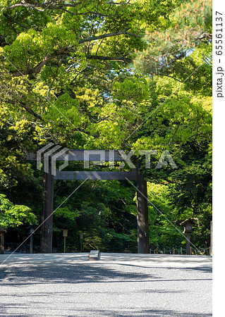 初夏の伊勢神宮 初夏の伊勢神宮 65561137
