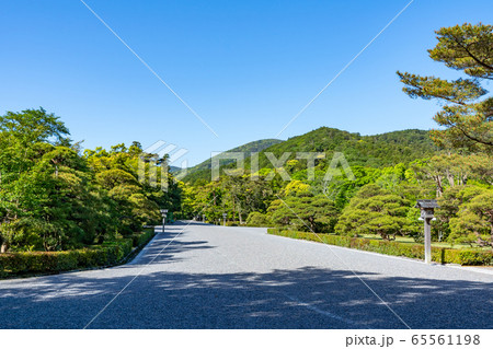 初夏の伊勢神宮 初夏の伊勢神宮 65561198
