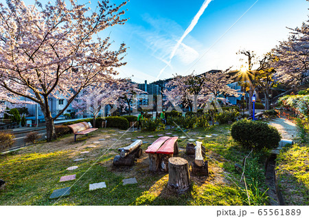 宝塚市、五月台住宅の夕暮れ 65561889