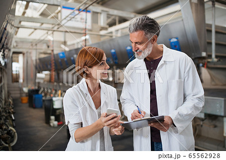 Man and woman managers working on diary farm, agriculture industry. Man and woman managers working on diary farm, agriculture industry. 65562928