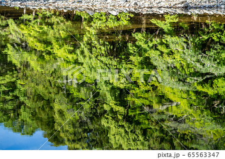 初夏の伊勢神宮 初夏の伊勢神宮 65563347
