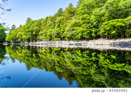 初夏の伊勢神宮　 65563401