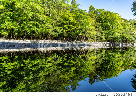 初夏の伊勢神宮　 65563463