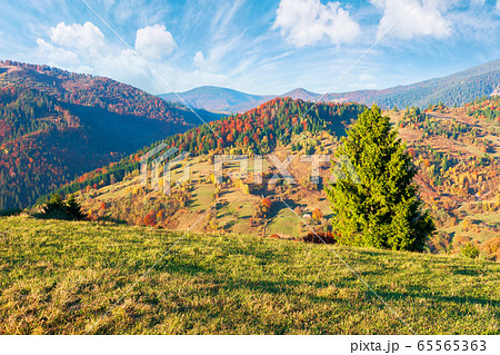 countryside in autumn at sunset. mountain countryside in autumn at sunset. mountain 65565363