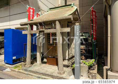 お玉が池跡 65565974