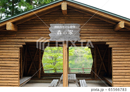 間伐材で建てられたログハウス　八塩いこいの森　秋田県 65566783