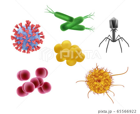 Microbes realistic. Biological cells different flu viruses vector illustration of microorganism 65566922