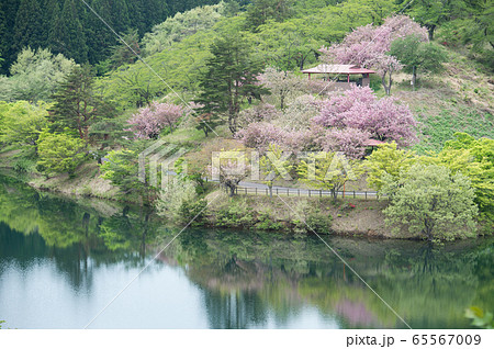 八塩いこいの森　秋田県　 65567009