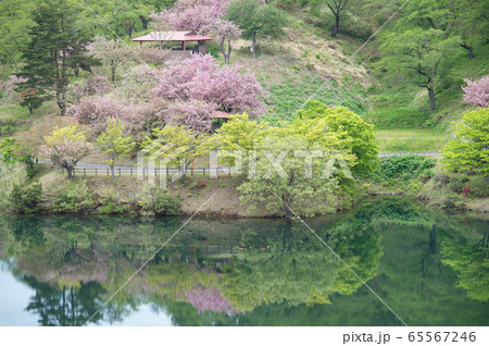 八塩いこいの森　秋田県　 65567246