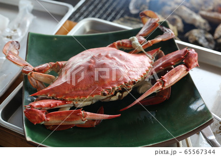 蟹 65567344