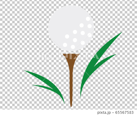 Golf ball 65567583