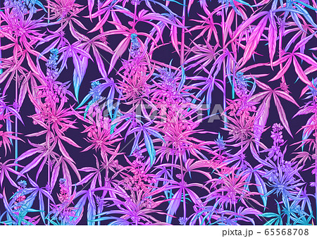 Hemp, Cannabis seamless pattern, background. 65568708