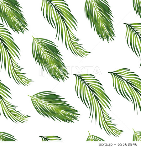 Tropical palm leaves, jungle leaves seamless vector pattern background Tropical palm leaves, jungle leaves seamless vector pattern background 65568846