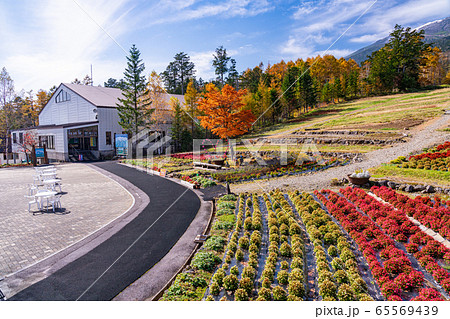 （長野県）木曽御嶽山・御岳ロープウェイ・山麓駅　お花畑 65569439