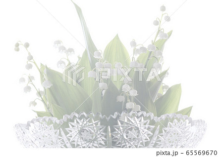 スズランのフラワーアレンジメント ハイキー スズランのフラワーアレンジメント ハイキー 65569670