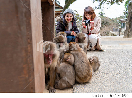 女子旅 旅行 ライフスタイル 撮影協力「高崎山自然動物園」 女子旅 旅行 ライフスタイル 撮影協力「高崎山自然動物園」 65570696