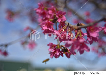 空 エーテル 大空 65570799