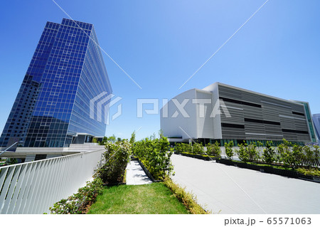 横浜　みなとみらい　臨港パーク入口に建つリゾートホテルとパシフィコ横浜ノース 65571063