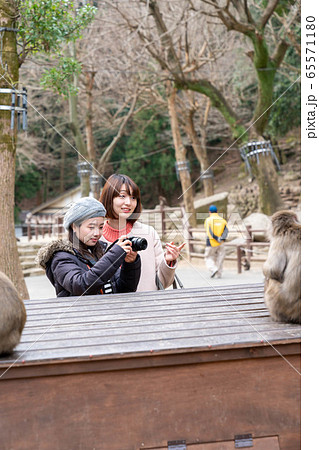 女子旅 旅行 ライフスタイル 撮影協力「高崎山自然動物園」 女子旅 旅行 ライフスタイル 撮影協力「高崎山自然動物園」 65571180