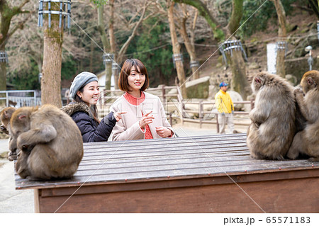 女子旅　旅行　ライフスタイル　撮影協力「高崎山自然動物園」 65571183