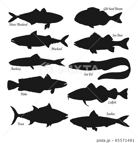 Sea And Ocean Fish Black Silhouettes Stock Illustration