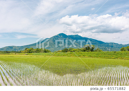 田んぼにリフレクションする山 田んぼにリフレクションする山 65571882