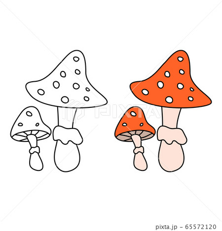Cartoon Amanita Fly Agaric Mushroom Icon のイラスト素材