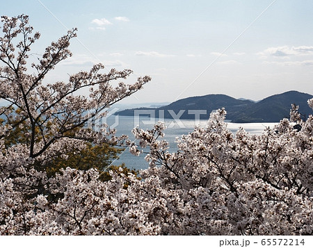 春の万葉岬　万葉岬から見る春の眺望 65572214