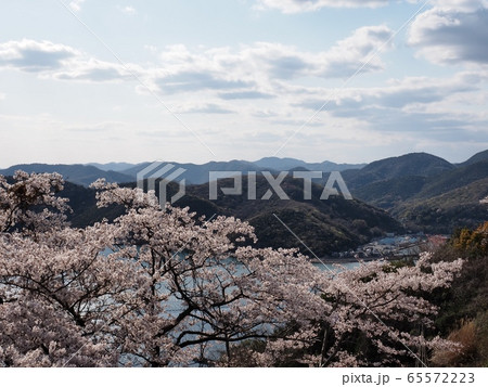 春の万葉岬　万葉岬から見る春の眺望 65572223