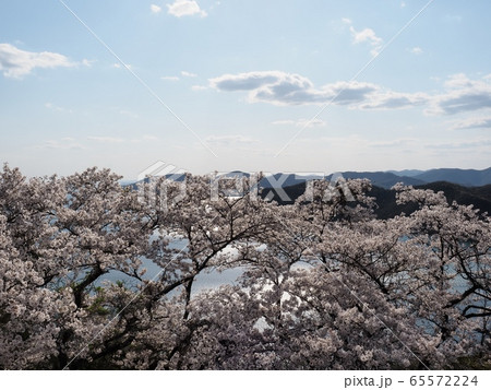 春の万葉岬　万葉岬から見る春の眺望 65572224