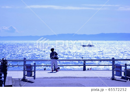 江ノ島 江ノ島 65572252