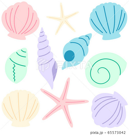 貝殻の素材セットのイラスト素材