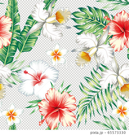 Plumeria hibiscus flowers green leaves seamless 65573330