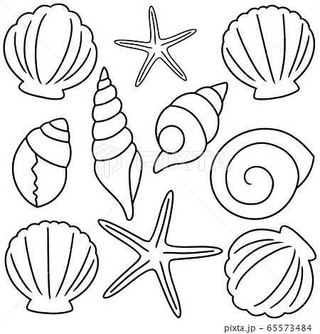 貝殻の素材セット 手描き風線画のイラスト素材