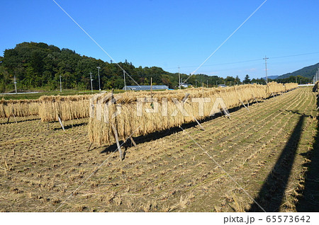 稲掛(埼玉県秩父市) 稲掛(埼玉県秩父市) 65573642